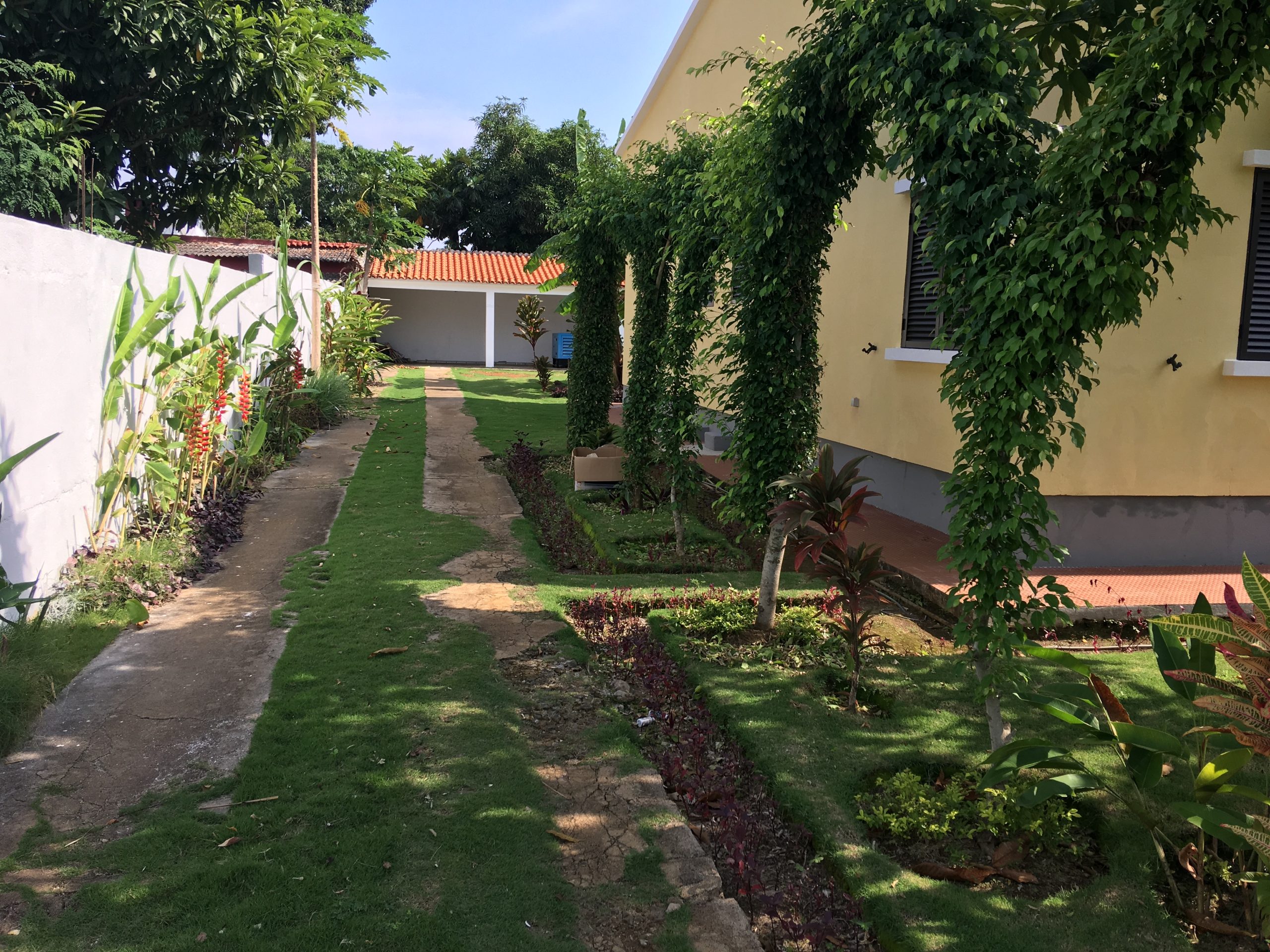 Foto 31-05-19, 07 42 12 (1)