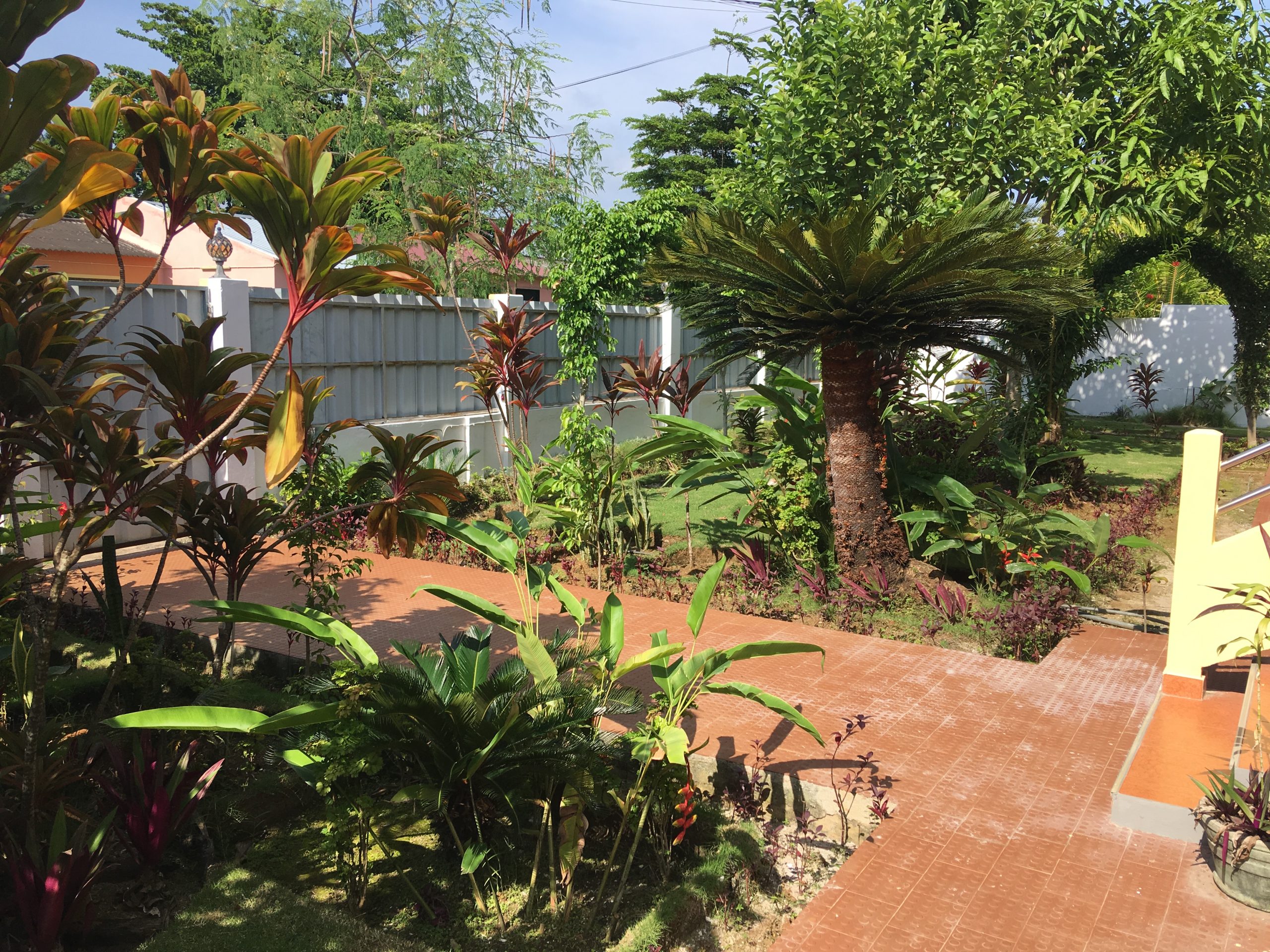 Foto 31-05-19, 07 54 48 (1)